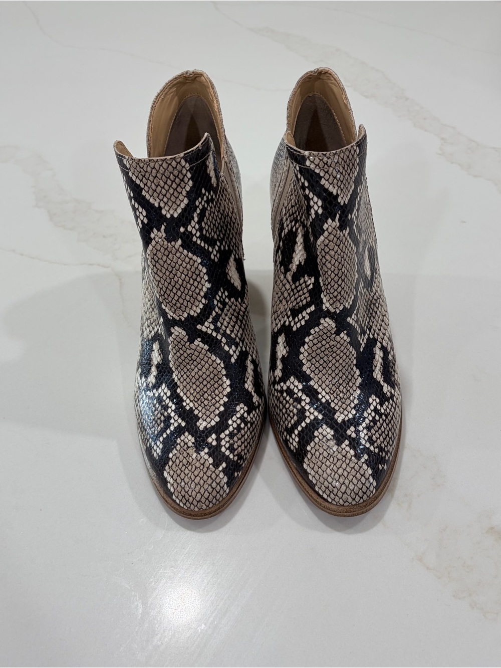 Vince Camuto Snake-Print leather Ankle Booties in Black and Cream - Picture 2 of 7